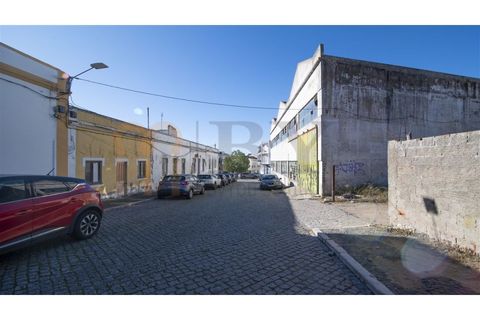 Helårsgrund i Beja, Beja, Beja - € 950.000 | Ref: BYS-1003 - foto 6