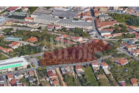Helårsgrund i Pacos de Brandao, Aveiro, Pacos de Brandao - € 530.000 | Ref: HT7076 - foto 5
