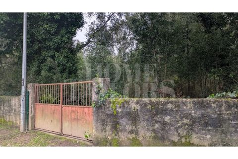 Helårsgrund i Pacos de Brandao, Aveiro, Pacos de Brandao - € 530.000 | Ref: HT7076 - foto 11