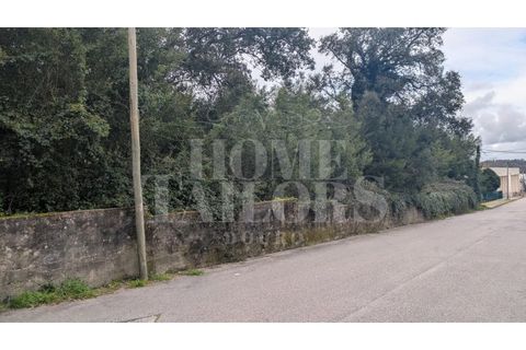 Helårsgrund i Pacos de Brandao, Aveiro, Pacos de Brandao - € 530.000 | Ref: HT7076 - foto 12