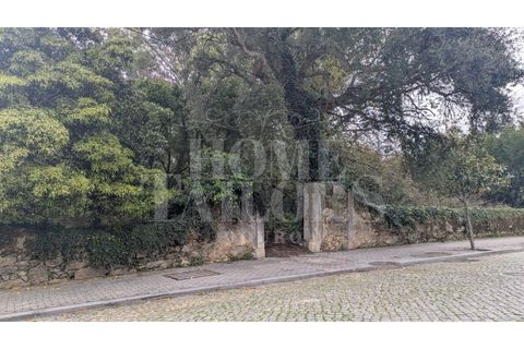 Helårsgrund i Pacos de Brandao, Aveiro, Pacos de Brandao - € 530.000 | Ref: HT7076 - foto 17