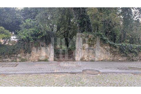 Helårsgrund i Pacos de Brandao, Aveiro, Pacos de Brandao - € 530.000 | Ref: HT7076 - foto 20