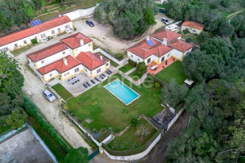 Villa i Sintra, Lisbon, Sintra - € 2.480.000 | Ref: ZMPT562575 - foto 4