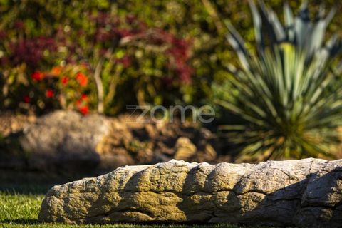 Villa i Sintra, Lisbon, Sintra - € 2.480.000 | Ref: ZMPT562575 - foto 37