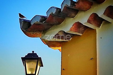Villa i Sintra, Lisbon, Sintra - € 2.480.000 | Ref: ZMPT562575 - foto 38