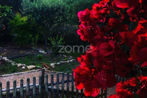 Villa i Sintra, Lisbon, Sintra - € 2.480.000 | Ref: ZMPT562575 - foto 40
