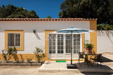 Villa i Sintra, Lisbon, Sintra - € 2.480.000 | Ref: ZMPT562575 - foto 43