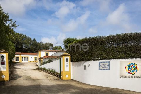 Villa i Sintra, Lisbon, Sintra - € 2.480.000 | Ref: ZMPT562575 - foto 6