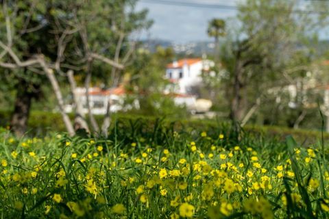 Villa i Olhao, Faro, Olhao - € 220.000 | Ref: KWPT-013128 - foto 28