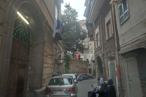 Erhvervsejendom i Naples, Naples, Naples - € 500.000 | Ref: LI2188-25 - foto 12