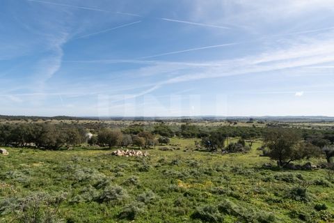Terra a Arraiolos, Evora, Arraiolos - € 15.000 | Ref: UNU.I.1207.20159 - foto 7