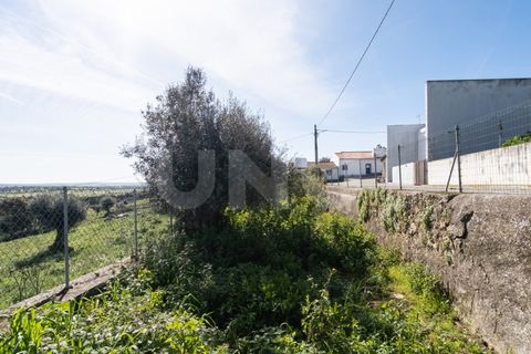 Terra a Arraiolos, Evora, Arraiolos - € 15.000 | Ref: UNU.I.1207.20159 - foto 2