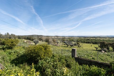 Terra a Arraiolos, Evora, Arraiolos - € 15.000 | Ref: UNU.I.1207.20159 - foto 4