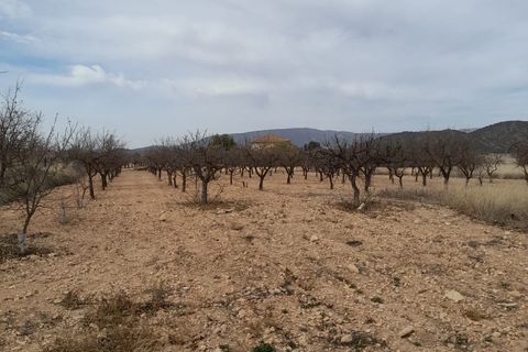 Byhus i Casas Del Senor, Alicante, Casas Del Senor - € 109.900 | Ref: 63029c2410 - foto 10