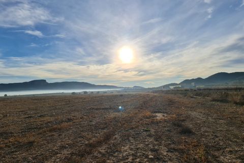 Terra a Monovar, Alicante, Monovar - € 119.000 | Ref: 63003C2010 - foto 3