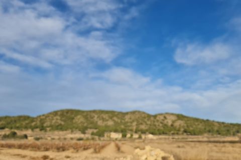 Terra a Monovar, Alicante, Monovar - € 119.000 | Ref: 63003C2010 - foto 6