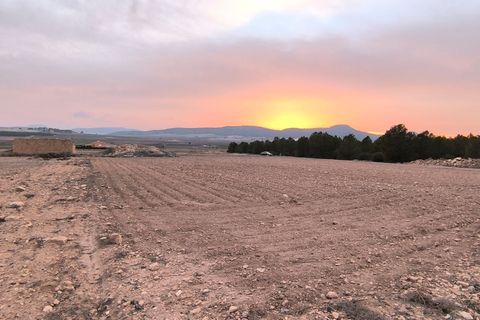 Grond in Yecla, Murcia, Yecla - € 64.500 | Ref: 40062-PB - foto 5