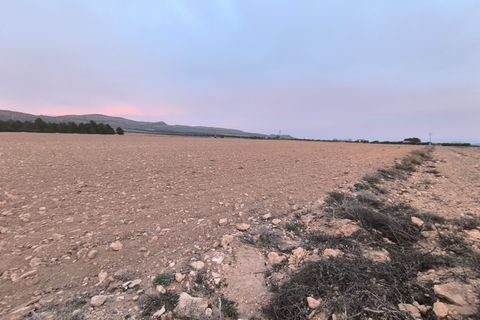 Grond in Yecla, Murcia, Yecla - € 64.500 | Ref: 40062-PB - foto 7