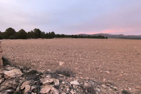 Grond in Yecla, Murcia, Yecla - € 64.500 | Ref: 40062-PB - foto 8