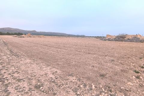 Grond in Yecla, Murcia, Yecla - € 64.500 | Ref: 40062-PB - foto 9