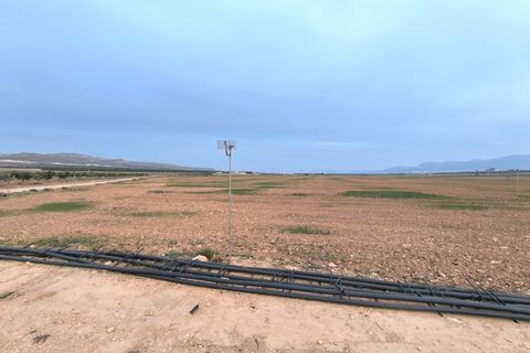 Tomt i Yecla, Murcia, Yecla - € 209 500 | Ref: 40061-PB - foto 2