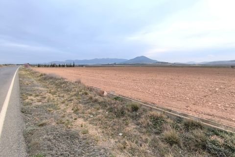 Terra a Yecla, Murcia, Yecla - € 93.500 | Ref: 40060-PB - foto 2