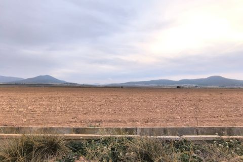 Terra a Yecla, Murcia, Yecla - € 93.500 | Ref: 40060-PB - foto 3
