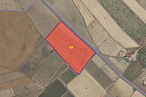 Terra a Yecla, Murcia, Yecla - € 93.500 | Ref: 40060-PB - foto 4