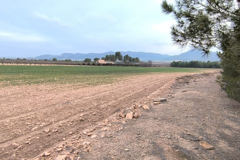 Helårsgrund i Yecla, Murcia, Yecla - € 39.999 | Ref: 40059-PB - foto 1
