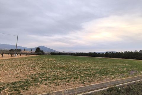 Helårsgrund i Yecla, Murcia, Yecla - € 39.999 | Ref: 40059-PB - foto 3