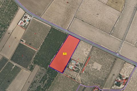 Helårsgrund i Yecla, Murcia, Yecla - € 39.999 | Ref: 40059-PB - foto 4