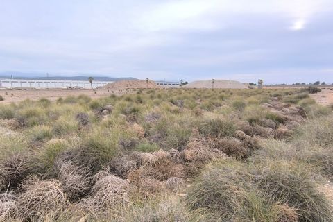 Terra a Yecla, Murcia, Yecla - € 142.500 | Ref: 40057-PB - foto 2