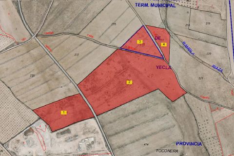 Terra a Yecla, Murcia, Yecla - € 142.500 | Ref: 40057-PB - foto 3