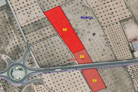 Terra a Yecla, Murcia, Yecla - € 142.500 | Ref: 40057-PB - foto 4