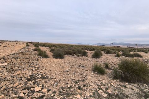 Terra a Yecla, Murcia, Yecla - € 142.500 | Ref: 40057-PB - foto 5