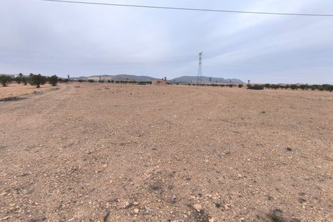 Terra a Yecla, Murcia, Yecla - € 142.500 | Ref: 40057-PB - foto 7