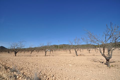 Helårsgrund i Monovar, Alicante, Monovar - € 56.995 | Ref: 66018 - foto 9
