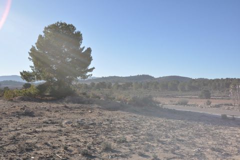 Tomt i Pinoso, Alicante, Pinoso - € 39 995 | Ref: 66055 - foto 5