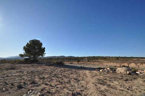 Tomt i Pinoso, Alicante, Pinoso - € 39 995 | Ref: 66055 - foto 9