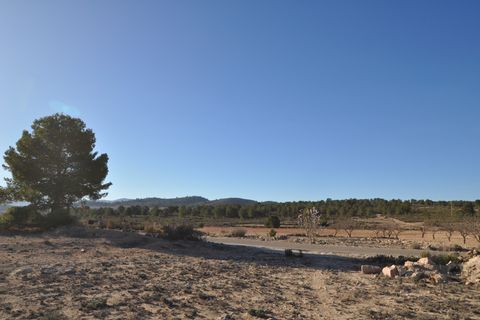 Tomt i Pinoso, Alicante, Pinoso - € 39 995 | Ref: 66055 - foto 10