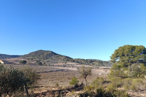 Tomt i Yecla, Murcia, Yecla - € 17 500 | Ref: 66033 - foto 2