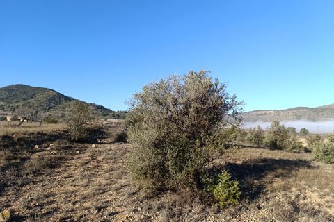 Tomt i Yecla, Murcia, Yecla - € 17 500 | Ref: 66033 - foto 8