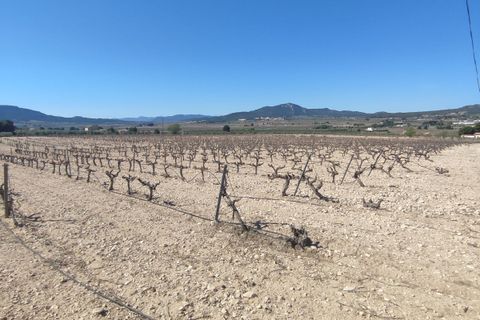 Helårsgrund i Salinas, Alicante, Salinas - € 53.000 | Ref: WG-51480 - foto 7