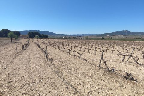 Helårsgrund i Salinas, Alicante, Salinas - € 53.000 | Ref: WG-51480 - foto 8