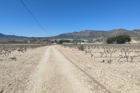 Helårsgrund i Salinas, Alicante, Salinas - € 53.000 | Ref: WG-51480 - foto 9