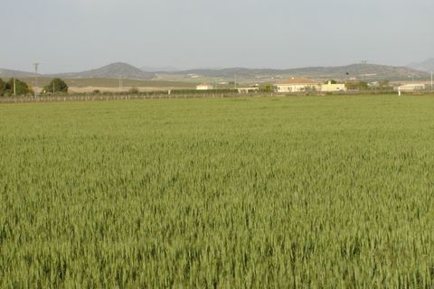 Grond in Yecla, Murcia, Yecla - € 450.000 | Ref: 41041-SS - foto 2