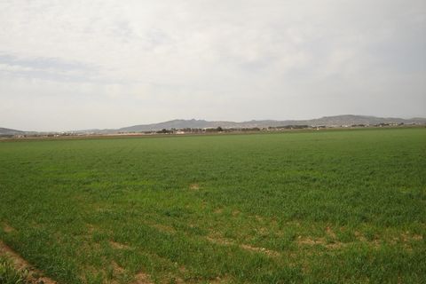 Grond in Yecla, Murcia, Yecla - € 450.000 | Ref: 41041-SS - foto 3