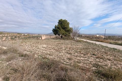 Stadthaus in Yecla, Murcia, Yecla - € 46.000 | Ref: 66028 - Foto 10