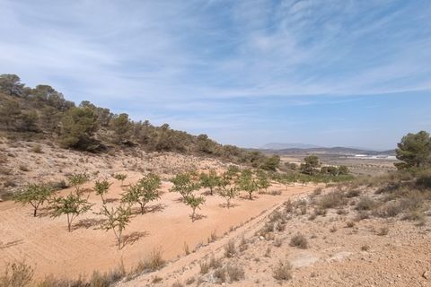 Helårsgrund i Abanilla, Murcia, Abanilla - € 24.310 | Ref: 66008 - foto 1