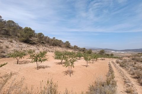 Helårsgrund i Abanilla, Murcia, Abanilla - € 24.310 | Ref: 66008 - foto 2